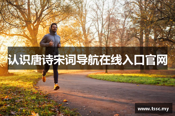 认识唐诗宋词导航在线入口官网